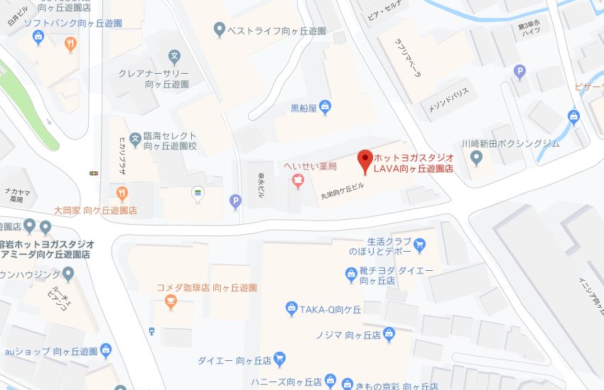 ホットヨガスタジオLAVA向ヶ丘遊園店地図