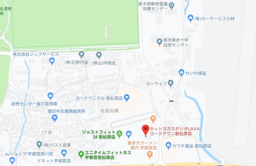 ホットヨガスタジオLAVAヨークタウン若松原店地図